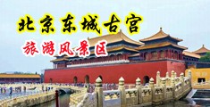 无码玉女自慰中国北京-东城古宫旅游风景区